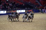 Quadrille - 00821
